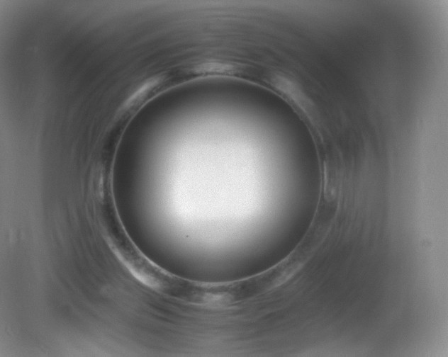 X0000083000157200702011504