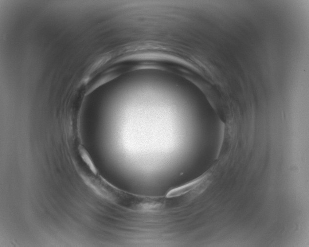X0000083000158200702011504
