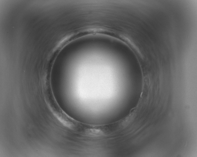 X0000083000159200702011504