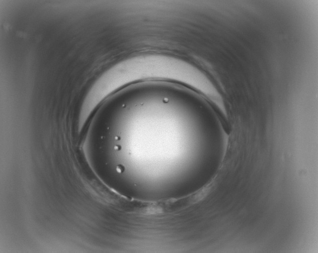 X0000083000162200702011504