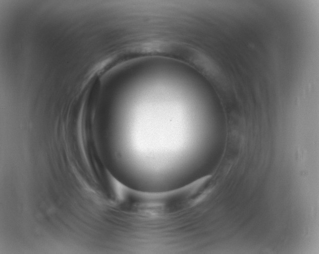 X0000083000164200702011504