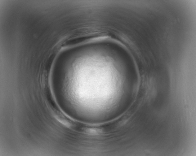 X0000083000165200702011504