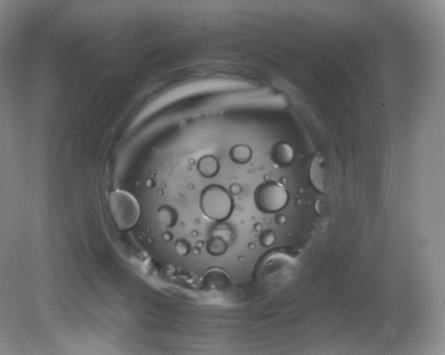 X0000083000167200702011504