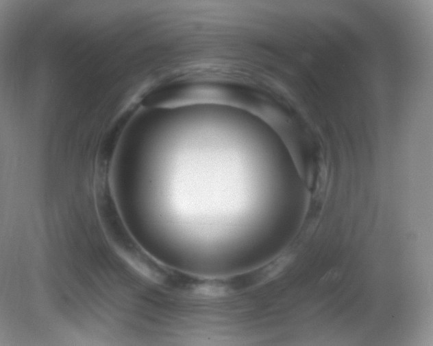 X0000083000168200702011504