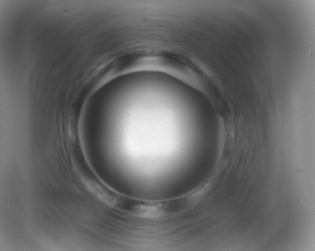 X0000083000170200702011504
