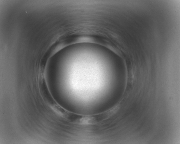 X0000083000172200702011504