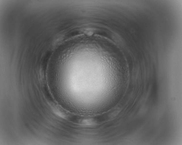 X0000083000173200702011504