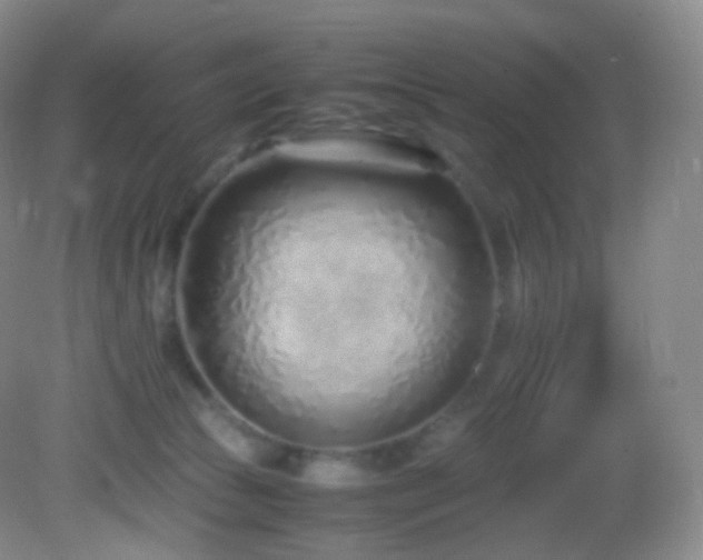 X0000083000177200702011504