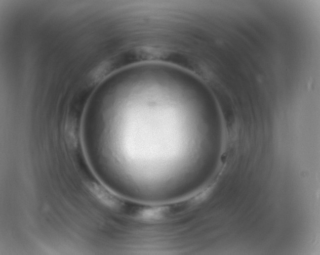 X0000083000178200702011504