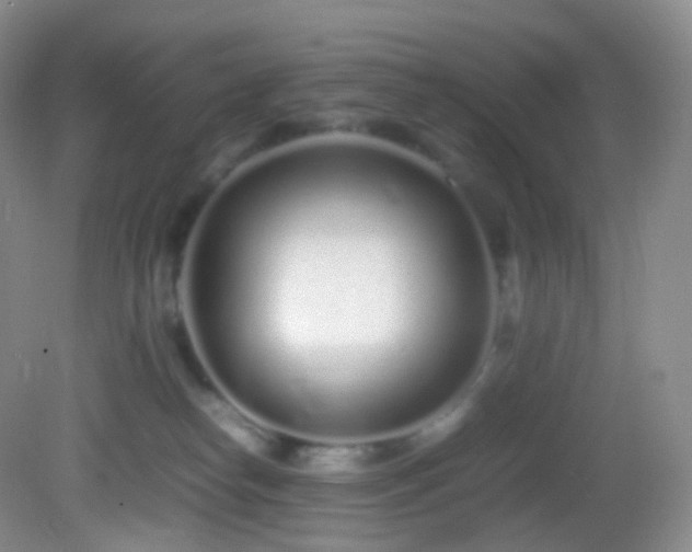 X0000083000182200702011504