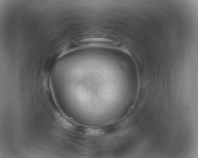X0000083000185200702011504
