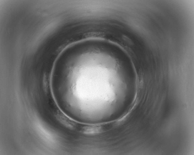 X0000083000191200702011504