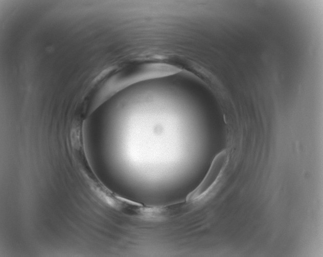 X0000083000192200702011504