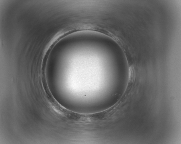 X0000083000195200702011503