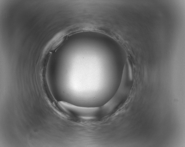 X0000083000197200702011503