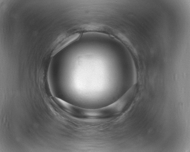X0000083000201200702011503