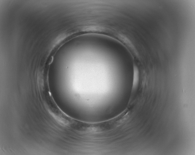 X0000083000204200702011503