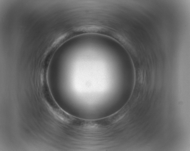 X0000083000206200702011503
