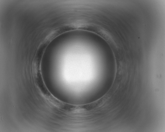 X0000083000210200702011503