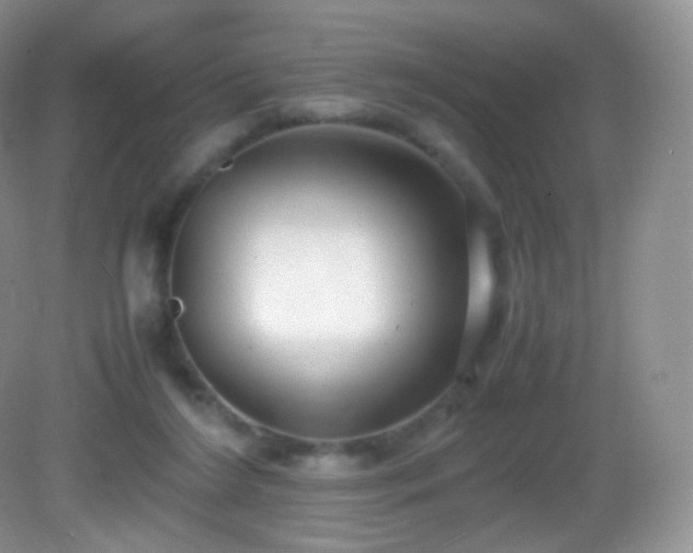 X0000083000212200702011503