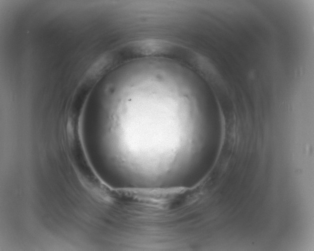 X0000083000214200702011503