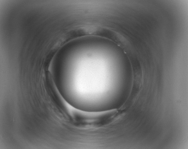 X0000083000221200702011503