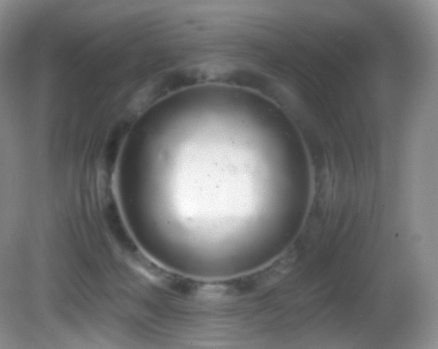 X0000083000222200702011503