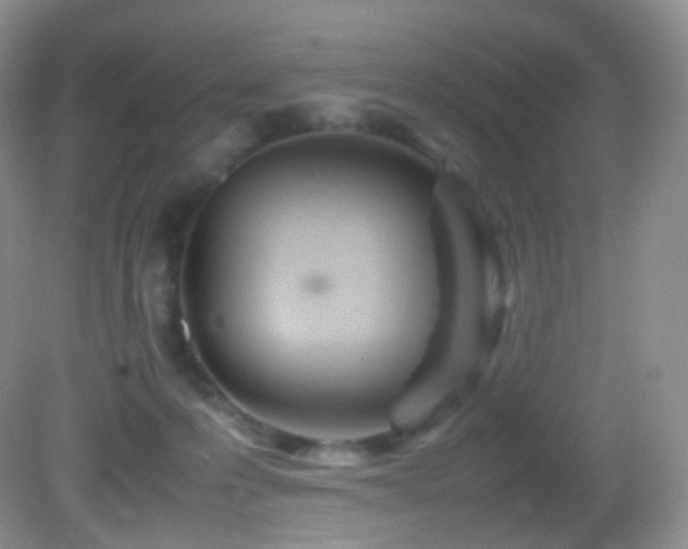 X0000083000223200702011503