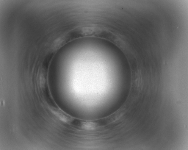 X0000083000226200702011503
