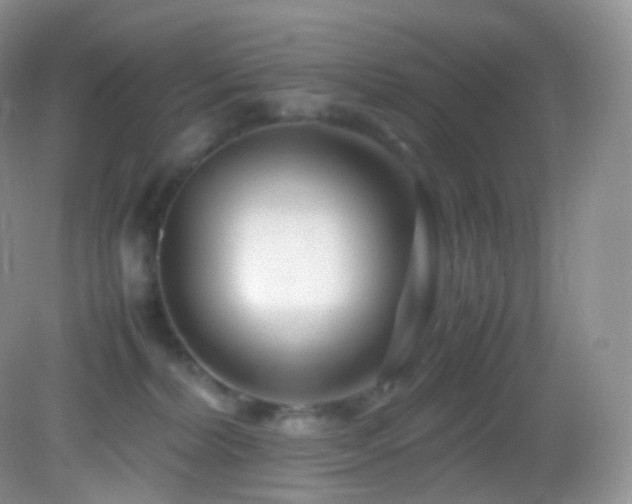X0000083000228200702011503