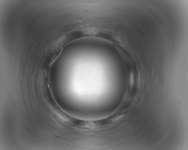 X0000083000229200702011503