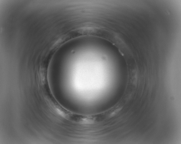 X0000083000232200702011503