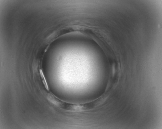 X0000083000233200702011503