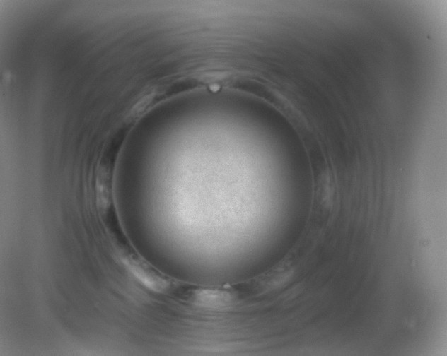X0000083000234200702011503