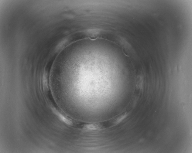 X0000083000238200702011503