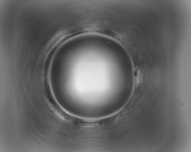 X0000083000243200702011502