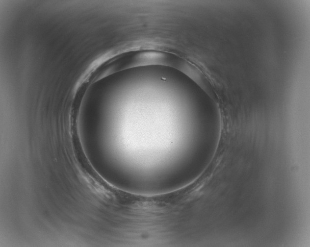 X0000083000244200702011502