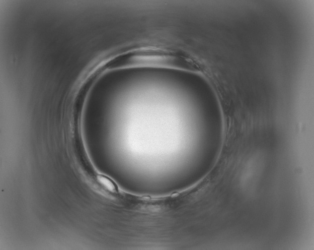 X0000083000247200702011502
