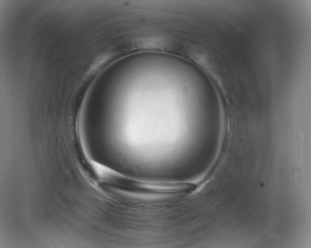 X0000083000249200702011502