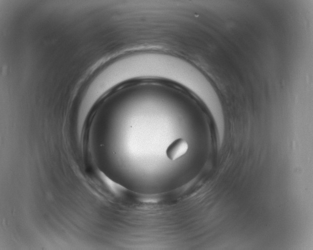 X0000083000252200702011502