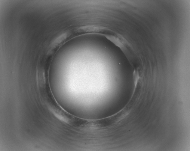 X0000083000254200702011502