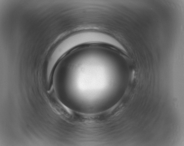 X0000083000256200702011502