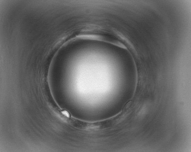 X0000083000257200702011502