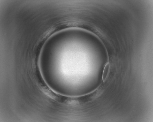 X0000083000258200702011502