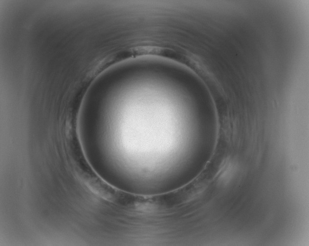 X0000083000259200702011502
