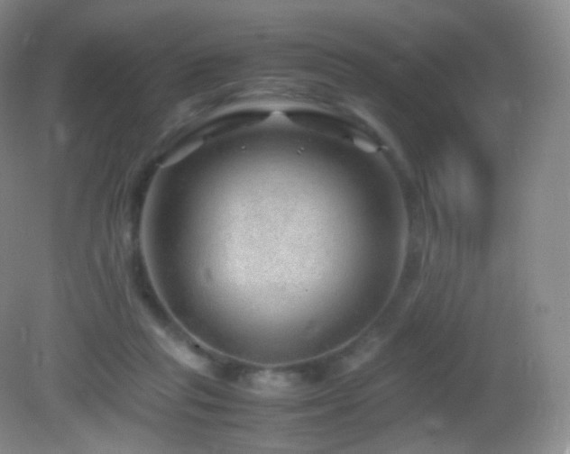 X0000083000261200702011502