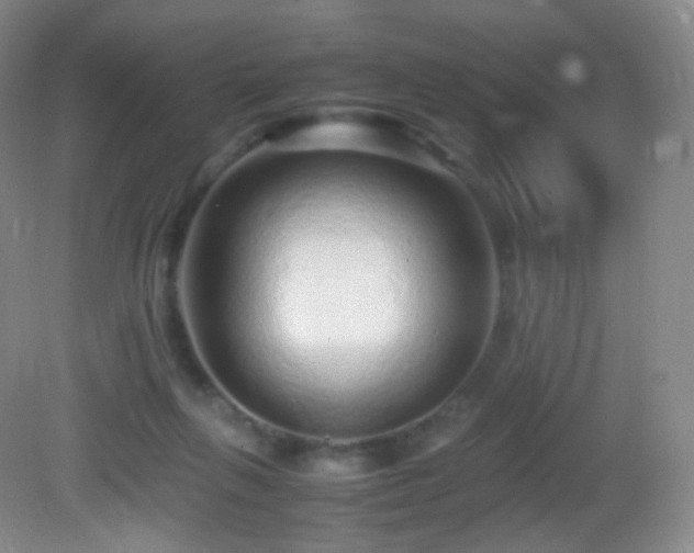 X0000083000263200702011502