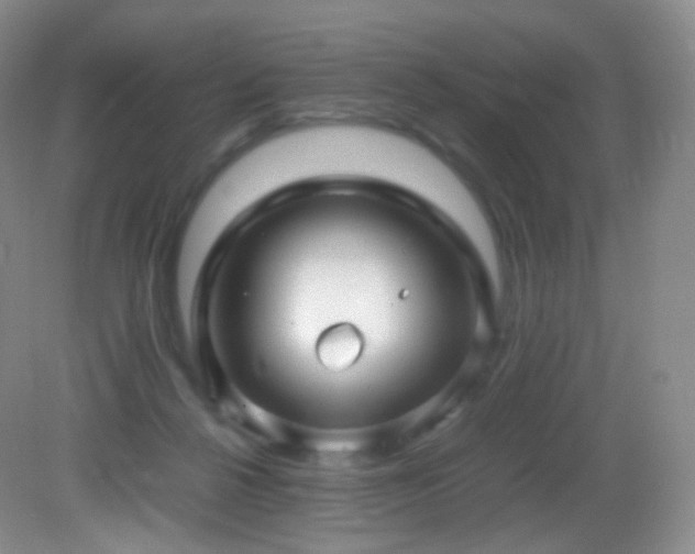 X0000083000264200702011502
