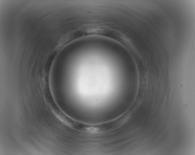 X0000083000265200702011502