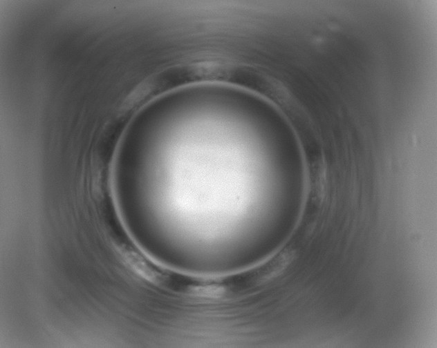 X0000083000266200702011502